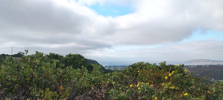 0 Bedroom Property for Sale in Schoongezicht Western Cape